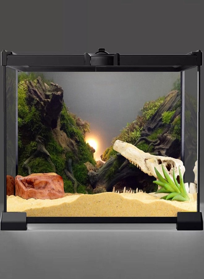 AWERT River Bed & Lake Aquarium Background Sunshine Aquatic Plant Fish Tank Background Vinyl 48x20 inches - Image 2