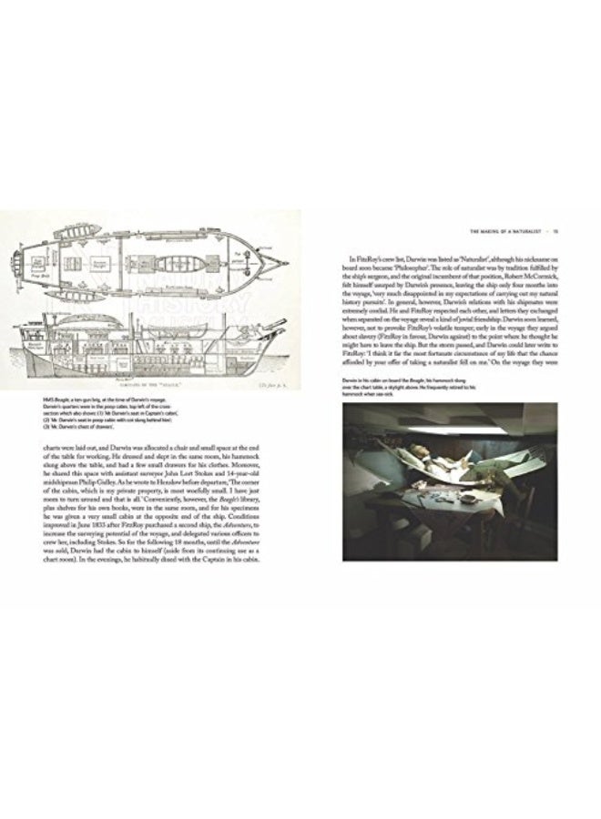Darwin's Fossils: Discoveries that shaped the theory of evolution - Image 3