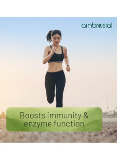 ambrosial 30 Mg Zinc capsules to support immune system and enzyme functions 60 Vej capsules  - Image 3