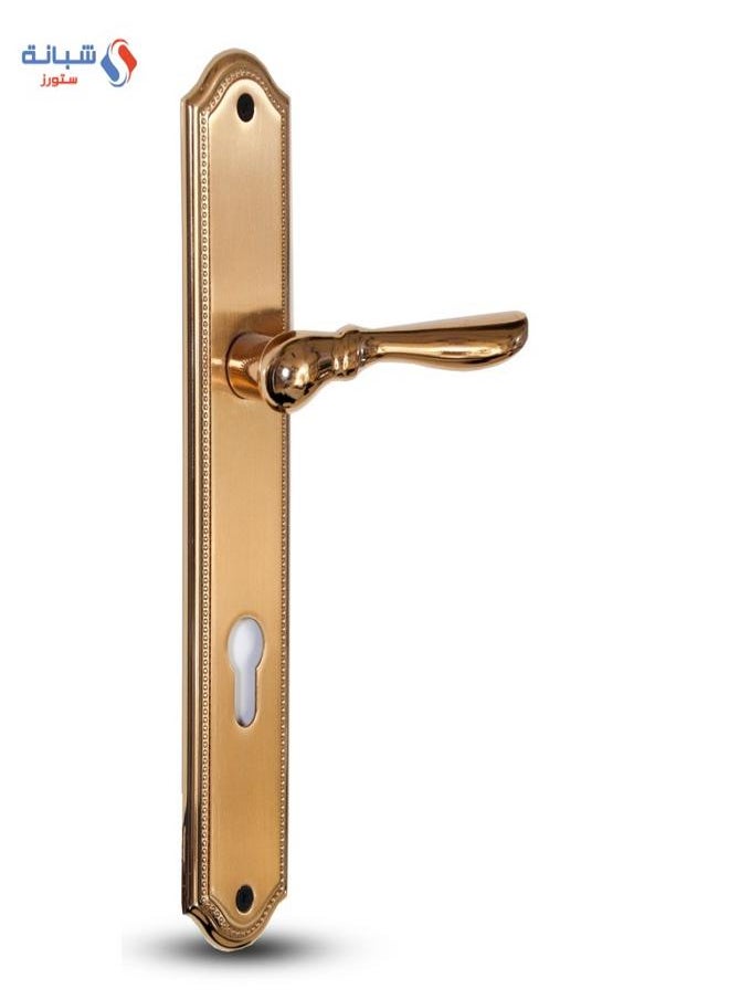 AHRAM Door handle Set Sicuro FIOCCA –Gold–FH3351P04CG101 