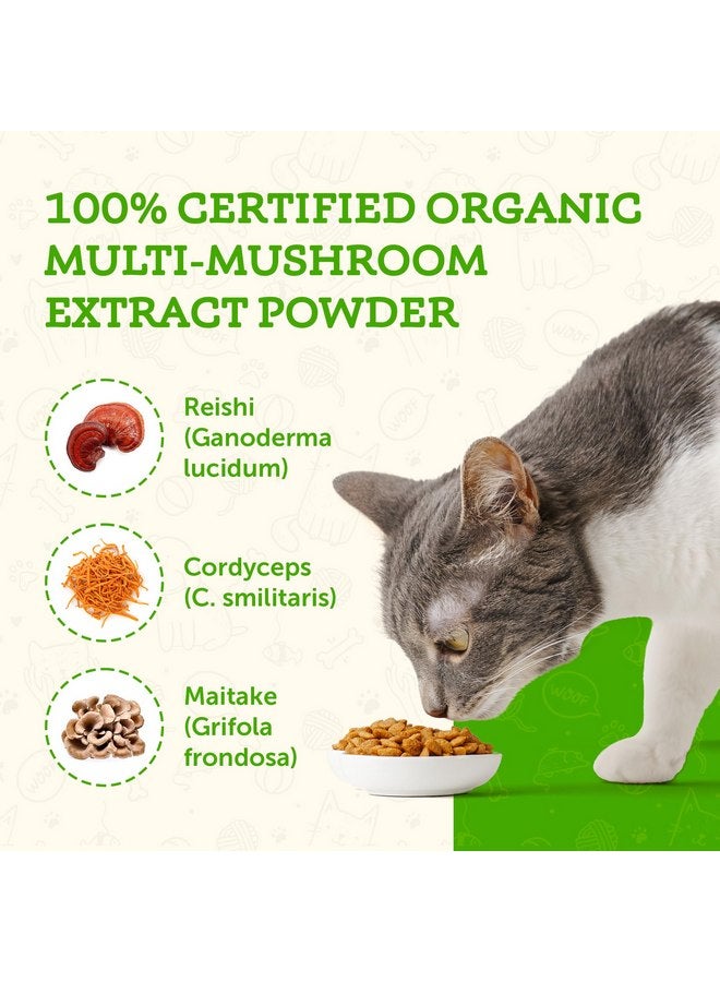 Animal Essentials MUSHROOM DEFENSE Supplement for Dogs & Cats - Critical Immune Defense, Reishi, Maitake, Cordyceps, Mushroom Powder Extract - 2.5 Oz (Pack of 1) - Image 3