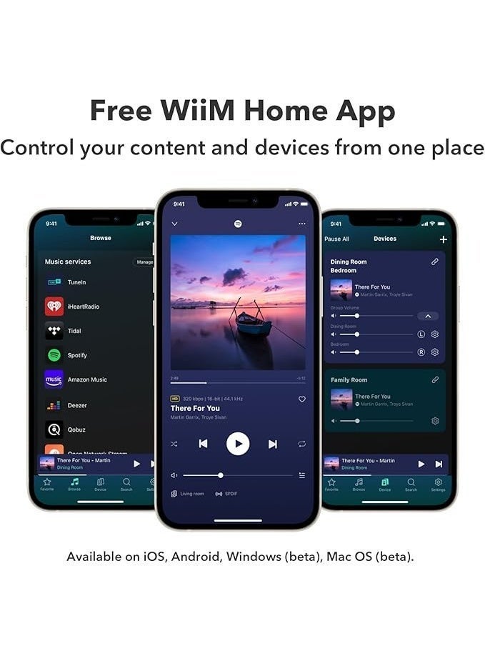 WiiM Pro Plus - AirPlay 2 Receiver,Google Cast Audio, Multiroom Streamer with Premium AKM DAC, Voice Remote, Works with Siri/Google, Stream Hi-Res Audio from Spotify, Tidal and More - Image 3