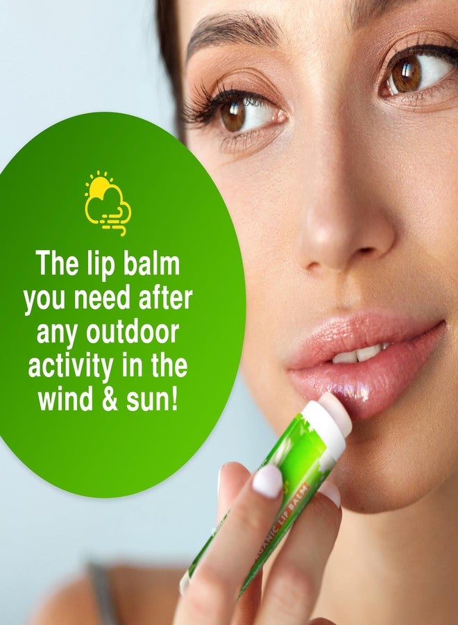 Rubber Ducky Carefree Natural Organic Lip Balm - Instant Hydration & Lip Moisturizer for Very Dry Lips - Vanilla Mint Lip Balm Flavor with Vitamin E - Vegan, Certified Organic Lip Care - 3 Pack - Image 4