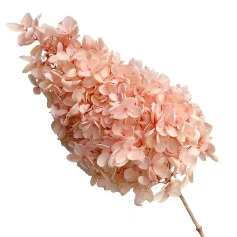 Bluejw PHA02 Wood Hydrangea 17 Color Solid/Mixed Gradient Natural Dried Hydrangea, Artificial Flowers for Home Decor, Floral Arrangements - Image 4