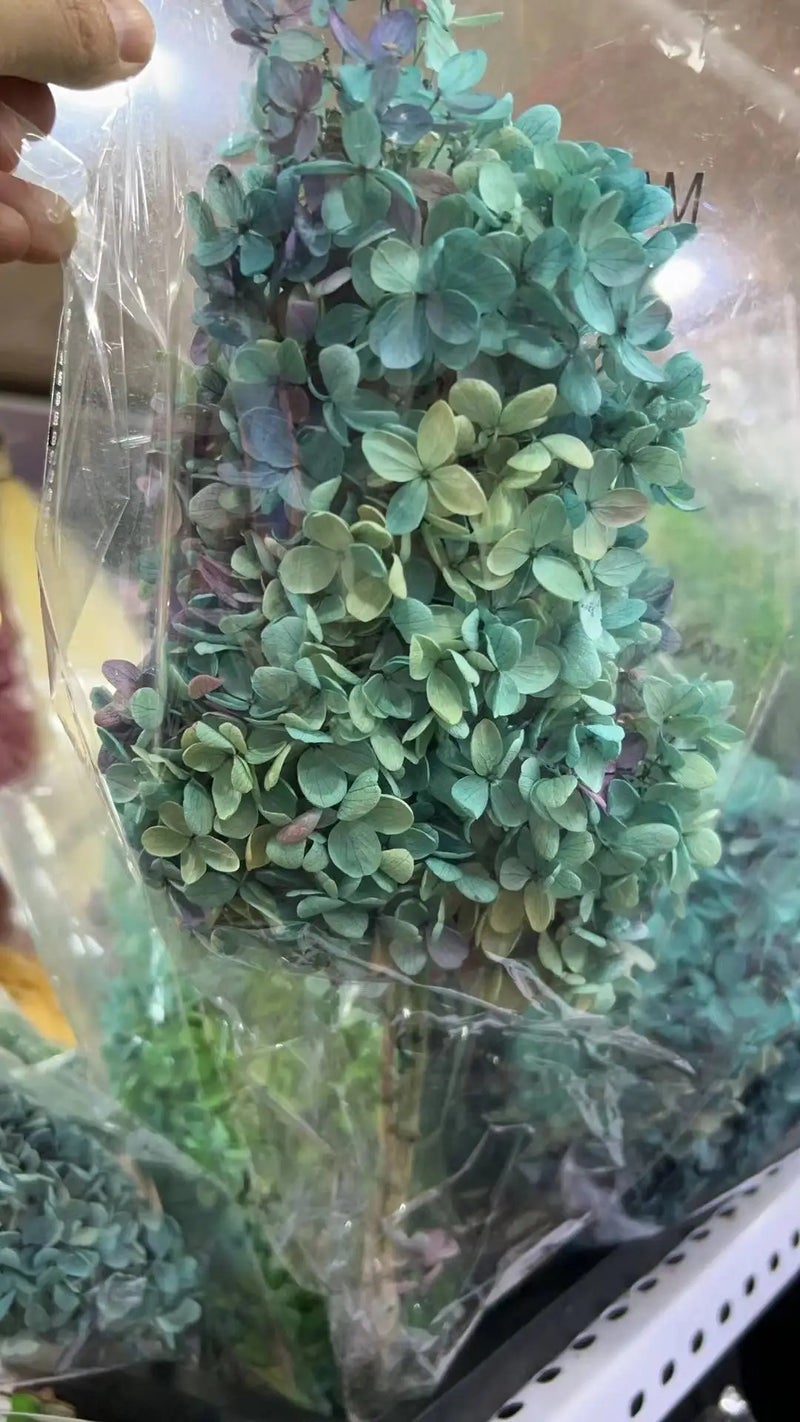 Bluejw PHA02 Wood Hydrangea 17 Color Solid/Mixed Gradient Natural Dried Hydrangea, Artificial Flowers for Home Decor, Floral Arrangements - Image 1