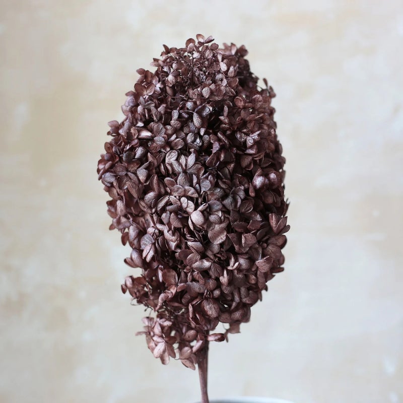 Bluejw PHA02 Wood Hydrangea 17 Color Solid/Mixed Gradient Natural Dried Hydrangea, Artificial Flowers for Home Decor, Floral Arrangements - Image 5