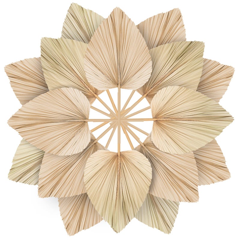 Chenkaiyang 10 Large Bulk Boho Dried Palm Leaves Fans with Stem Natural Tropical Palm Flowers Wedding Vase Decor