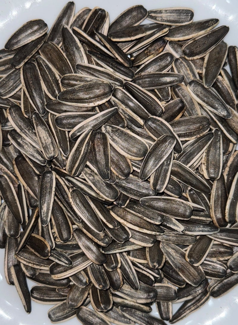 RAW SUNFLOWER SEEDS 500 GM - Image 1
