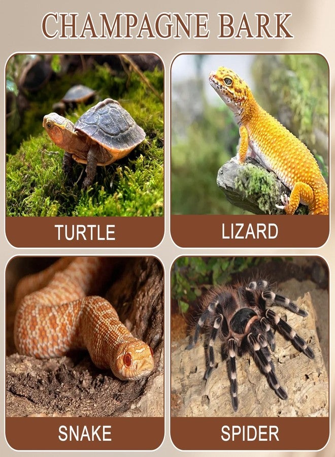 VOSCHOIX 4PCS Reptile Cork Bark, Natural Cork Terrarium Background Reptile Climbing Mat Habitat Decor for Turtles, Lizards, Bearded Dragons, Chameleons - Image 2