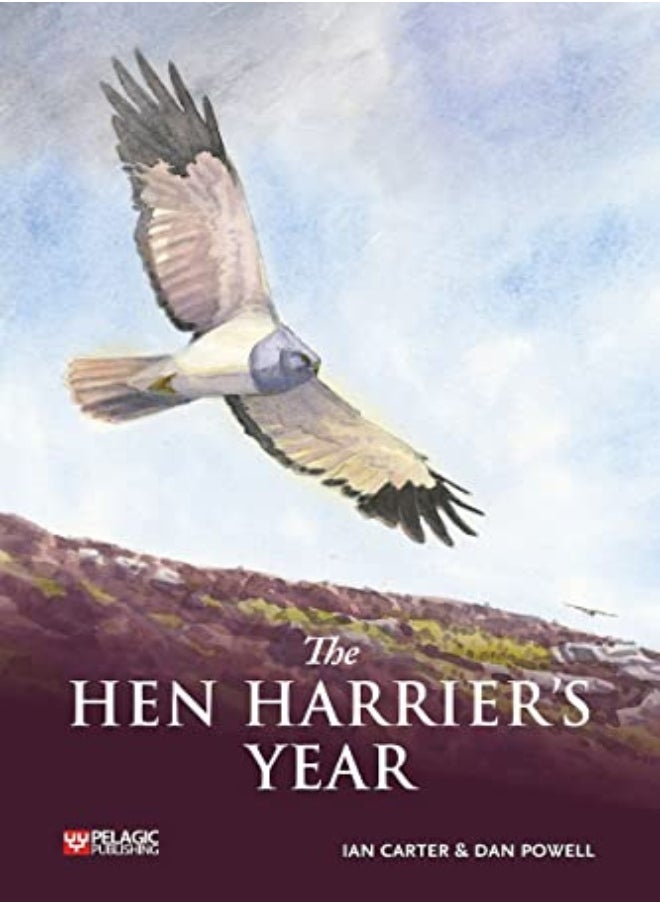 null - The Hen Harrier's Year - Image 1