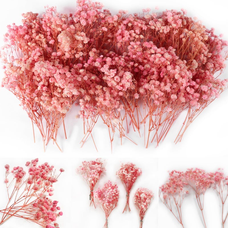 Glicrili 4000 Mini Pink Dried Babys Breath Flowers 6 70Pcs Natural Gypsophila for DIY Art Crafts Dry Flowers Bulk for Vase Resin Nails Valentines Day Decor Room Table Wedding Gifts 