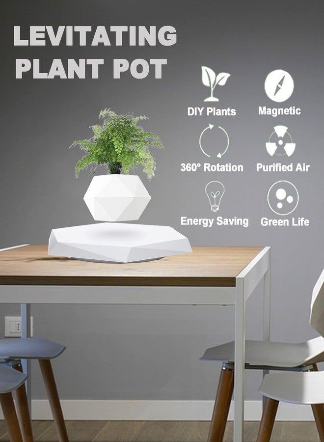 Ronsoile Levitating Plant Pot, 2025 Floating Plant Pot for Air Bonsai Planter, Magnetic Levitating Flower Pot Planter for Office Home Decoration, Ideal Home Gift for Valentine's Day Mother's Day Birthday - Image 3