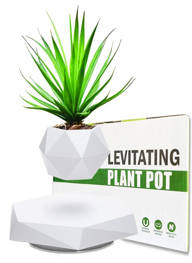 Ronsoile Levitating Plant Pot, 2025 Floating Plant Pot for Air Bonsai Planter, Magnetic Levitating Flower Pot Planter for Office Home Decoration, Ideal Home Gift for Valentine's Day Mother's Day Birthday - Image 1