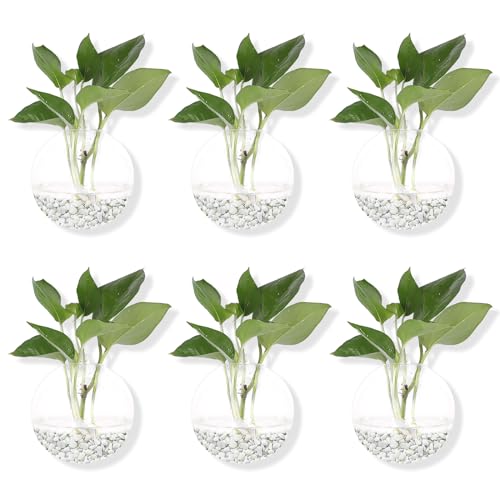 DZHJKIO Hanging Wall Planters Pack of 6 Glass Planter Pots Round Glass Flower Vases Hanging Propagation Station Glass Plant Hanger Terrariums Wall Hanging Plant Container - Image 1