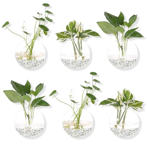 DZHJKIO Hanging Wall Planters Pack of 6 Glass Planter Pots Round Glass Flower Vases Hanging Propagation Station Glass Plant Hanger Terrariums Wall Hanging Plant Container - Image 3