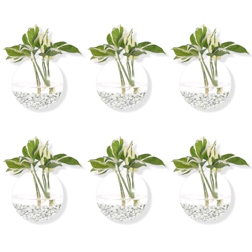 DZHJKIO Hanging Wall Planters Pack of 6 Glass Planter Pots Round Glass Flower Vases Hanging Propagation Station Glass Plant Hanger Terrariums Wall Hanging Plant Container - Image 2