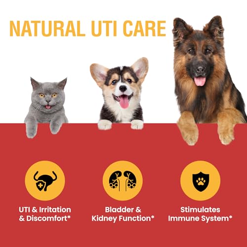 Special Breed Urinary Tract Infection Treatment for Cats and Dogs - Cranberry UTI Supplement, Kidney and Bladder Support, 2 oz - Image 3
