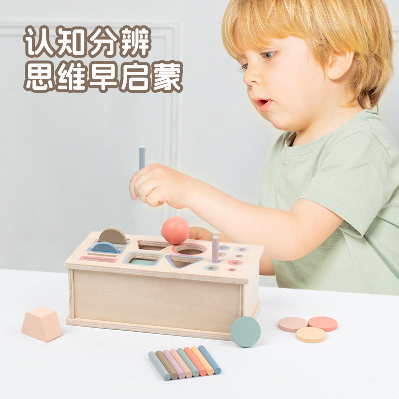 Montessori Classification Early Education Coin Box Baby Color Cognitive Shape Building Blocks Matching Teaching Aids Baby Educational Toys - Image 3