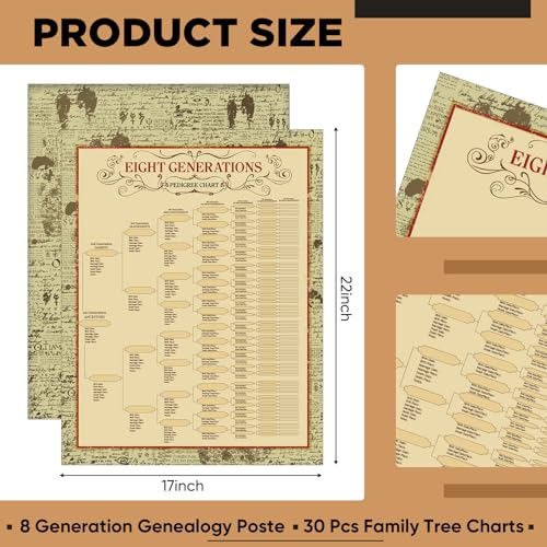Sinload 30 Pcs Family Tree Charts to Fill in Genealogy Charts 8 Generation 255 Name Spaces Genealogy Organizer Pedigree Charts for Genealogy Ancestry Family History Reunions Lineage, 17 x 22 Inch - Image 3