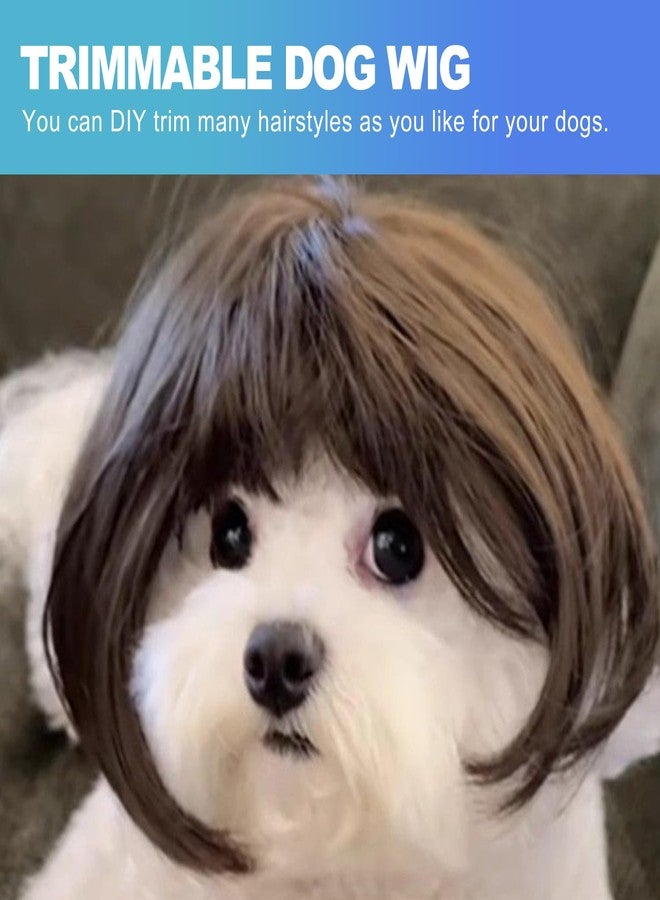 CoguZed 1-Pack Adjustable Pet Wig for Dogs & Cats – Trimmable 3D Design Wigs for Small/Medium/Large Breeds (Black, Brown, Straight) | Halloween, Christmas, Parties & Photo Shoots - Image 4
