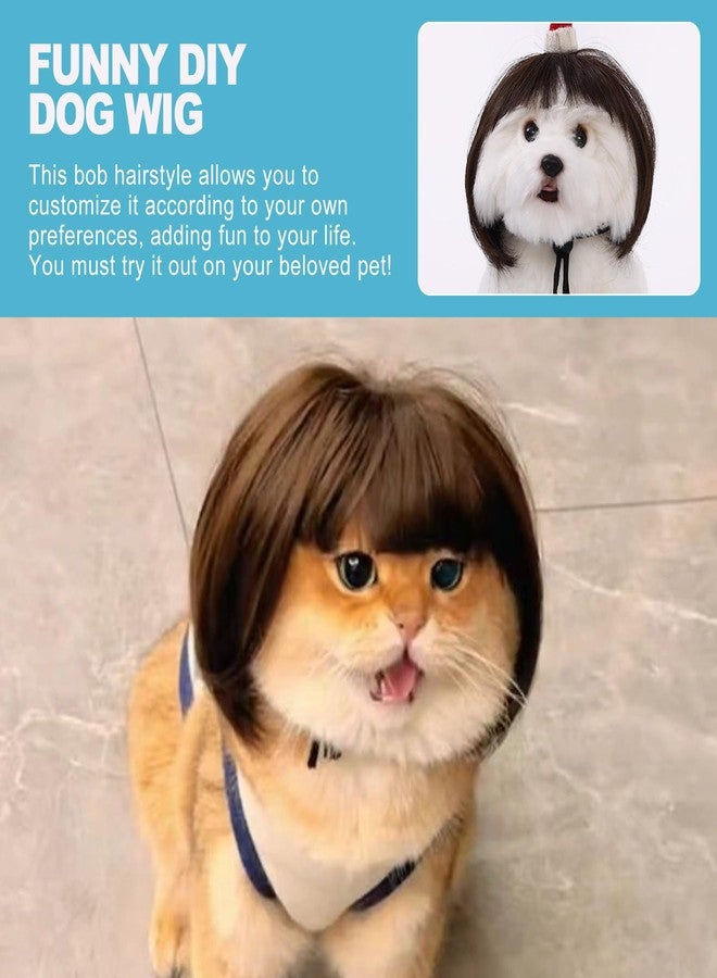 CoguZed 1-Pack Adjustable Pet Wig for Dogs & Cats – Trimmable 3D Design Wigs for Small/Medium/Large Breeds (Black, Brown, Straight) | Halloween, Christmas, Parties & Photo Shoots - Image 5