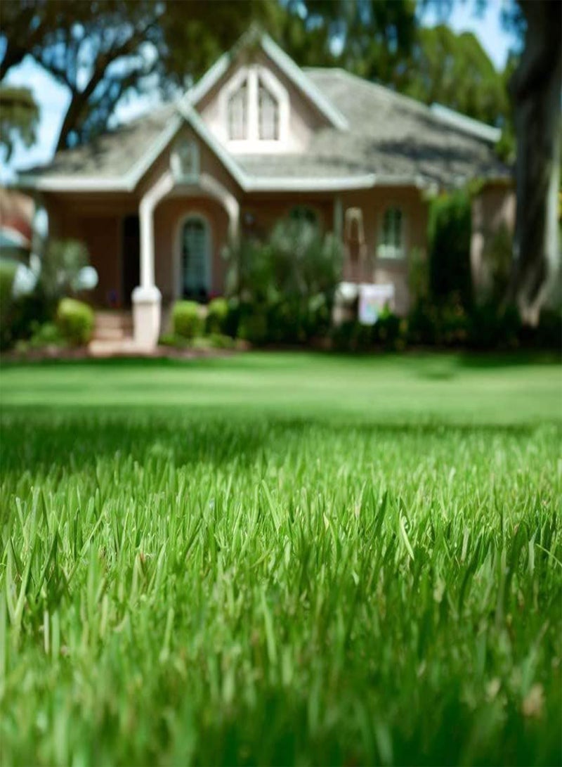 GGOOT Bahia, Bermuda, Grass Seeds for Lawn and Pasture, Livestock Grazing, Choose Color and Amount (1/2 g, Turf Bermuda Hulled & Coated) - Image 1
