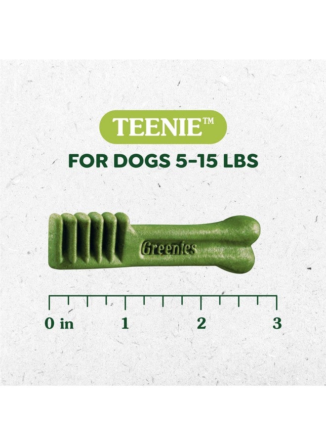 جرينيز تيني للعناية الطبيعية بالأسنان، مكافآت للكلاب بنكهة التوت الأزرق، عبوة ١٢ أونصة (٤٣ مكافأة) - Image 2