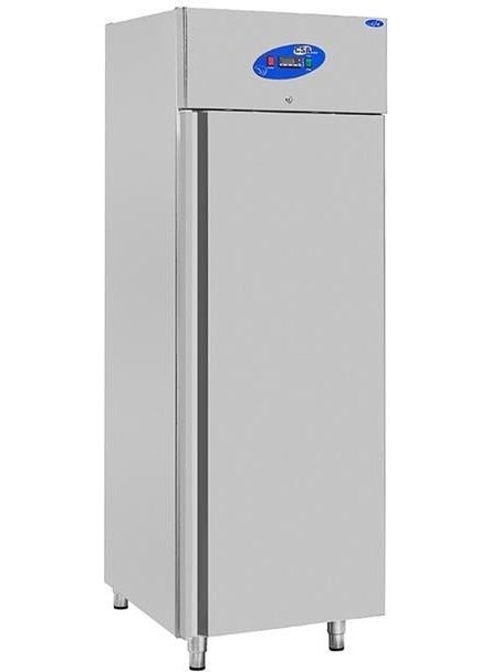 CSA Inox Karacasan Industrial 600 Lt Upright Single Door Deep Freezer 