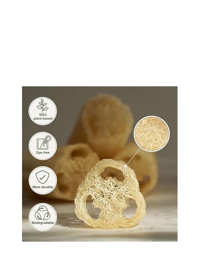 ليفة مصرية طبيعية كاملة من 38 إلى 45 سم، إسفنجة استحمام عضوية لتقشير الجسم، صديقة للبيئة وقابلة للتحلل البيولوجي لتنظيف عميق وبشرة ناعمة، خالية من المواد الكيميائية (قطعة واحدة) - Image 3
