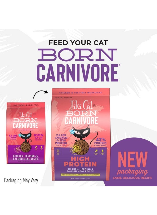 Tiki Cat Born Carnivore High Protein, Chicken, Herring & Salmon Meal, GrainFree Baked Kibble To Maximize Nutrients, Dry Cat Food, 2.8 Lbs. Bag - Image 3