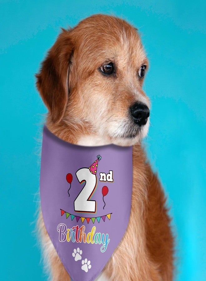 Lmaurrizt 2nd Birthday Dog Birthday Bandana Funny Dog Birthday Party Accessories Pet Scarf for Dog Photo Prop Triangle Scarf for Pet 2nd Birthday Party Decoration - Image 3