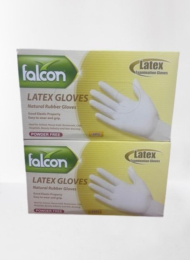 Falcon Latex Gloves Powder Free - Large Size (Pack of 2) - Image 1