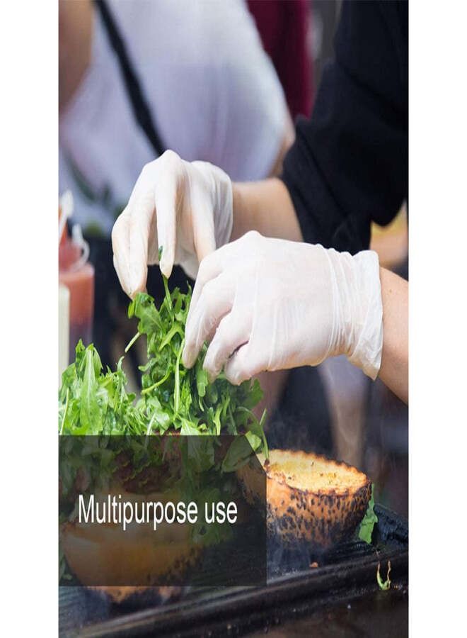 Falcon Latex Gloves Powder Free - Large Size (Pack of 2) - Image 2