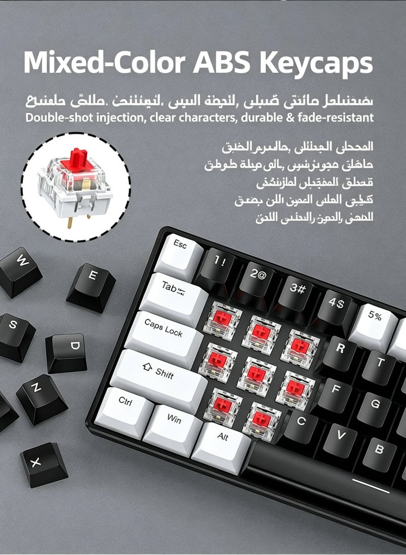 T-WOLF Game keyboard and mouse set with red switch RGB backlight, 61 key wired mechanical keyboard and mouse set - Image 2