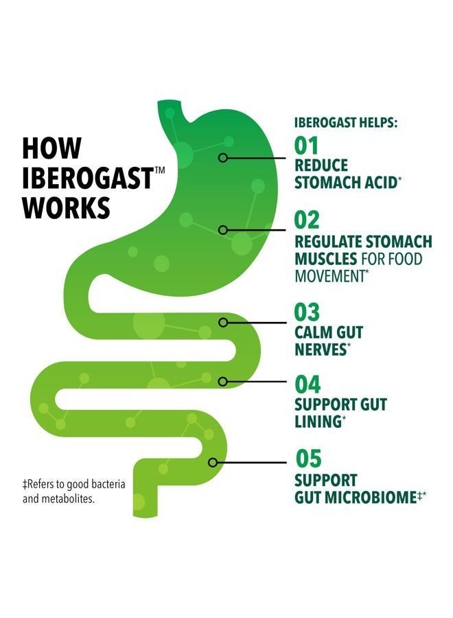 Iberogast قطرات سائلة، تخفيف عشبي لاضطرابات المعدة: عسر الهضم العرضي، الانتفاخ، الغازات، الغثيان، اضطراب المعدة؛ خالي من الغلوتين؛ مزيج من 6 أعشاب مع إيبيريس أمارا، نعناع، عرقسوس؛ 50 مل - Image 5