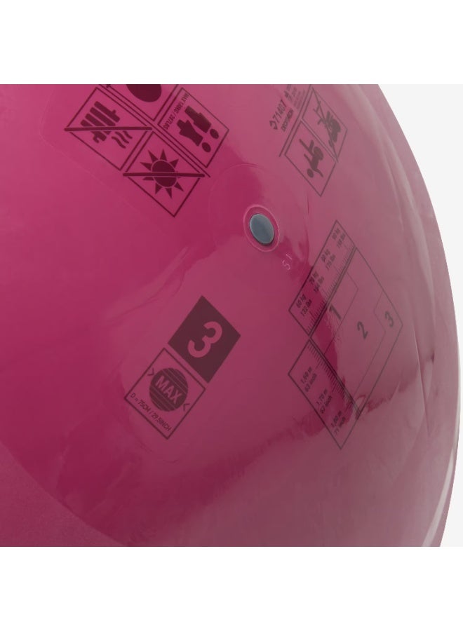 دوميوس كرة لياقة بدنية متينة مقاس3(75 سم) - نبيتي - Image 2