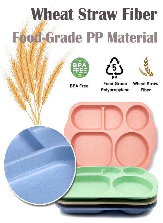 KITLAB Unbreakable Divided Plates, 4 Pack Wheat Straw Tray, Large Fast Food Tray for Toddlers Adults Kids Children, Lightweight Plates, Dishwasher and Microwave Safe - Image 3