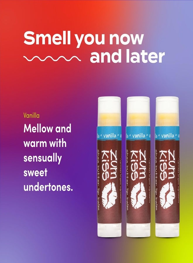 زم زوم فانيلا كيس ستيك (عبوة من 3 قطع) مع زيت بذور دوار الشمس العضوي المعتمد، وشمع العسل، وزبدة الشيا، والزيوت العطرية النقية، وشمع الكانديليلا، وفيتامين هـ، والعسل، 0.15 أونصة - Image 3