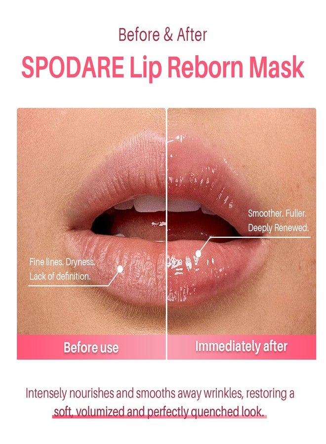 SPODARE قناع الشفاه الليلي بالفراولة من سبودير - علاج ليلي للشفاه، ترطيب وعناية بالشفاه، إصلاح للشفاه الجافة والمتشققة، فيتامين سي، شفاه ناعمة ومغذية طوال الليل، مناسب لعيد الميلاد، مع زبدة الشيا - 12 غرام - Image 2