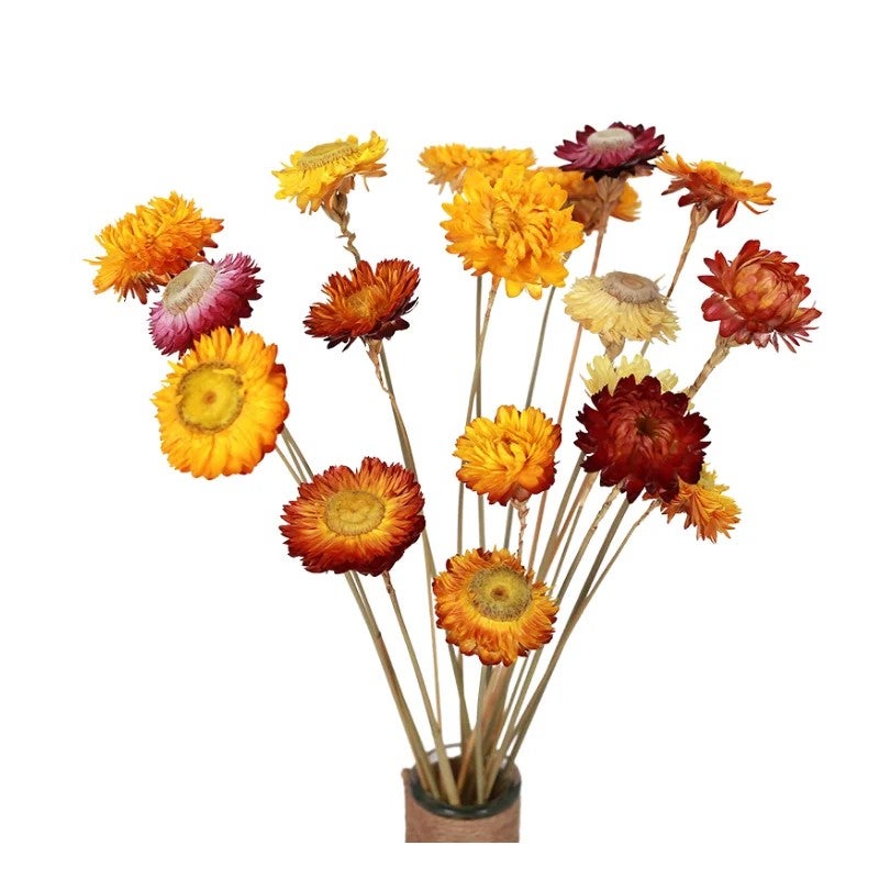 Bluejw Colorful Dried Flowers - Natural Chrysanthemum Daisy Flower Bouquet for Home Decor, Dried Plants Arrangement - Image 3