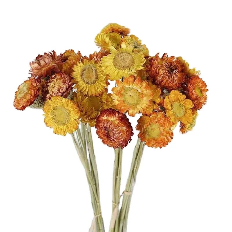 Bluejw Colorful Dried Flowers - Natural Chrysanthemum Daisy Flower Bouquet for Home Decor, Dried Plants Arrangement - Image 2