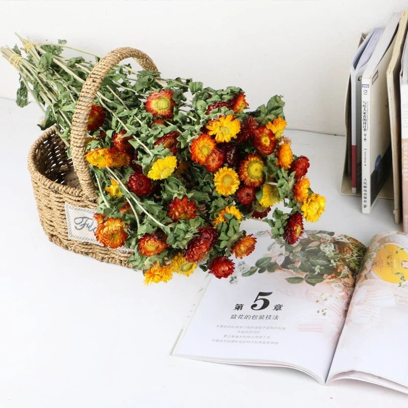 Bluejw Colorful Dried Flowers - Natural Chrysanthemum Daisy Flower Bouquet for Home Decor, Dried Plants Arrangement - Image 1