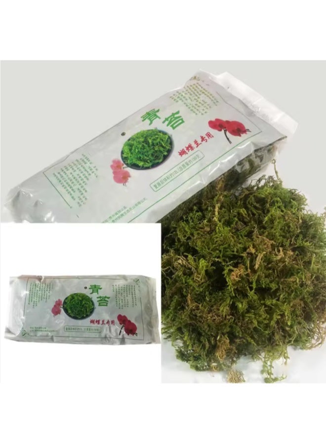 طحلب أخضر للزواحف 12 لتر - وسط زراعة | أحواض الزواحف - Image 2