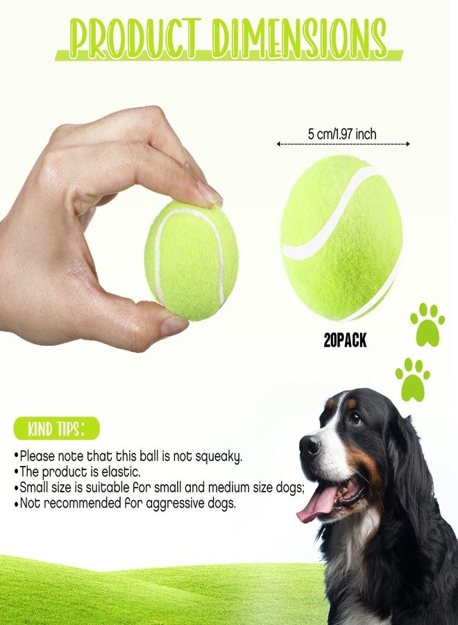 Hanaive 20 Pieces Dog Tennis Balls 2 Inch Mini Tennis Balls for Small Dog Pet Fetching Toy Rubber Felt Training Toys for Puppy Pet Playing Exercise and Practice(Yellow) - Image 2