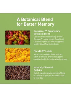 CocoaVia Memory & Focus Brain Supplement, 90 Day, Cocoa Flavanol Blend, Lutein, Added Caffeine for Boost. Improve Cognitive Function, Attention, Vegan & Plant Based, 90 Capsules  - Image 4