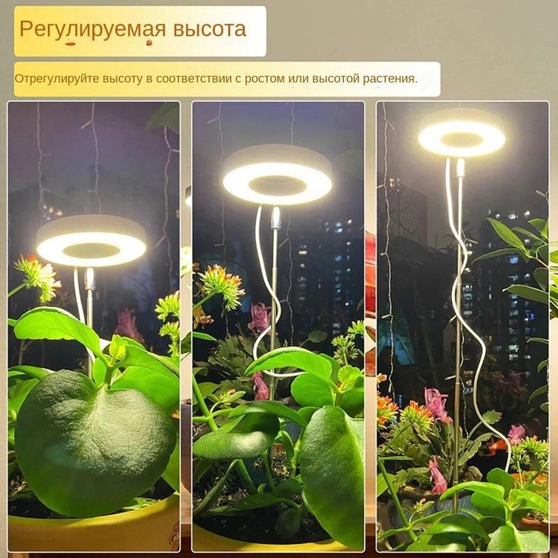 مصباح تنمو النباتات LED بأضواء حمراء وزرقاء وبيضاء ودافئة، 48 كرة مصباح LED لكل رأس، 13 واط، 360 مل، 190.00 × 120.00 × 40.00 ملم، مؤقت زمني 3/9/12 ساعة، 10 مستويات لمعان، معتمدة من FCC، غلاف من سبائك الألومنيوم، ضمان لمدة عامين - Image 4