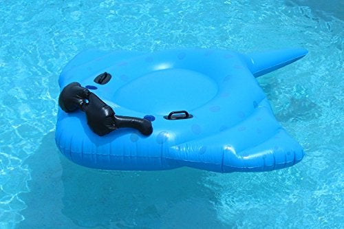 GAME 5100 Stingray Inflatable Pool Float Giant - Image 5