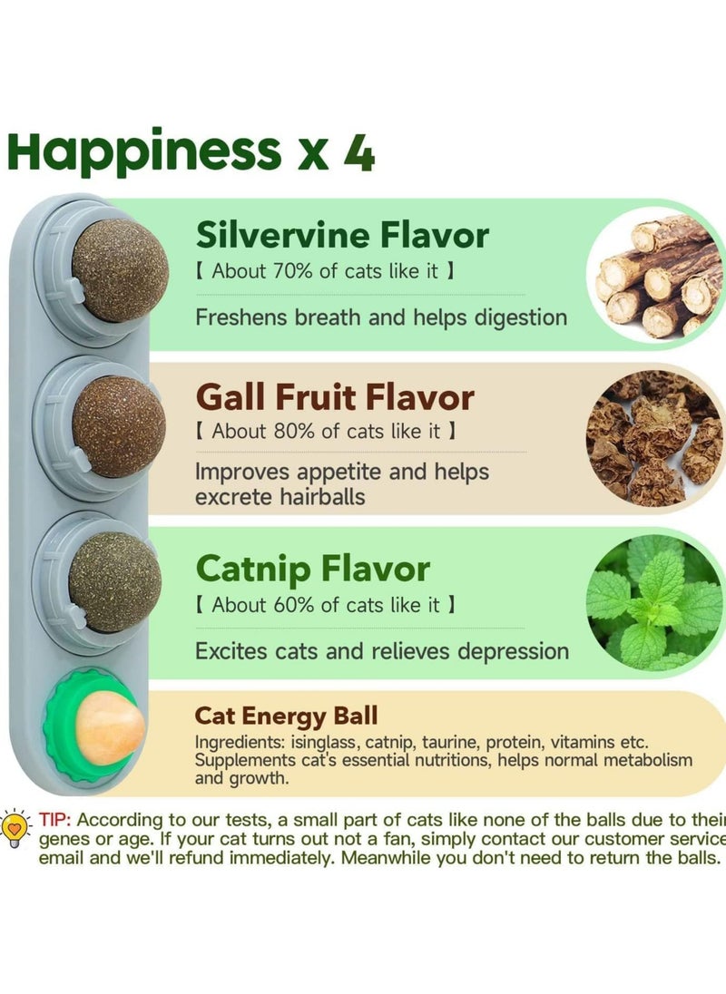 CMGTYYD - CMGTYYD 4-Pack Catnip Balls Cat Toy, Edible Catnip Toy Balls, 4 Flavors, Spinable Interactive Cat Treats, Oral Cleansing for Cats - Image 1