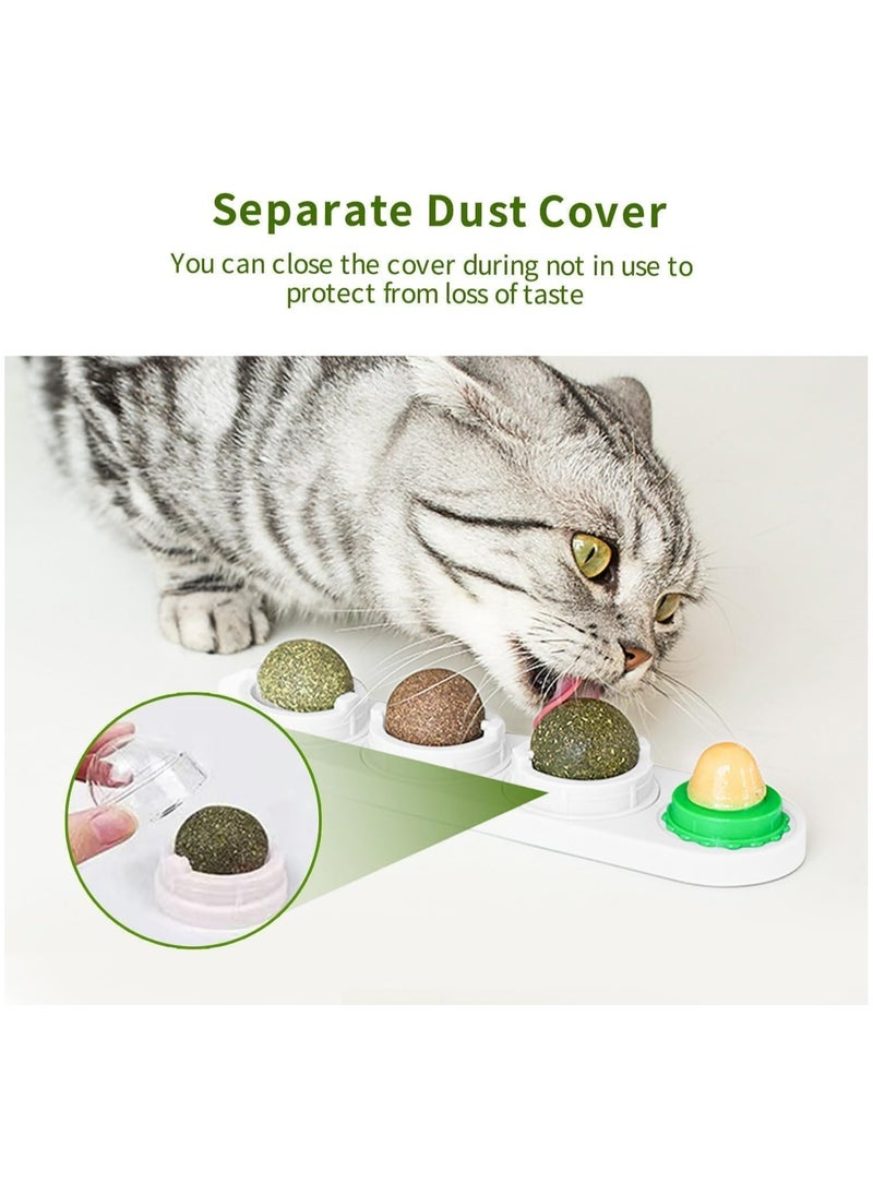 CMGTYYD - CMGTYYD 4-Pack Catnip Balls Cat Toy, Edible Catnip Toy Balls, 4 Flavors, Spinable Interactive Cat Treats, Oral Cleansing for Cats - Image 1