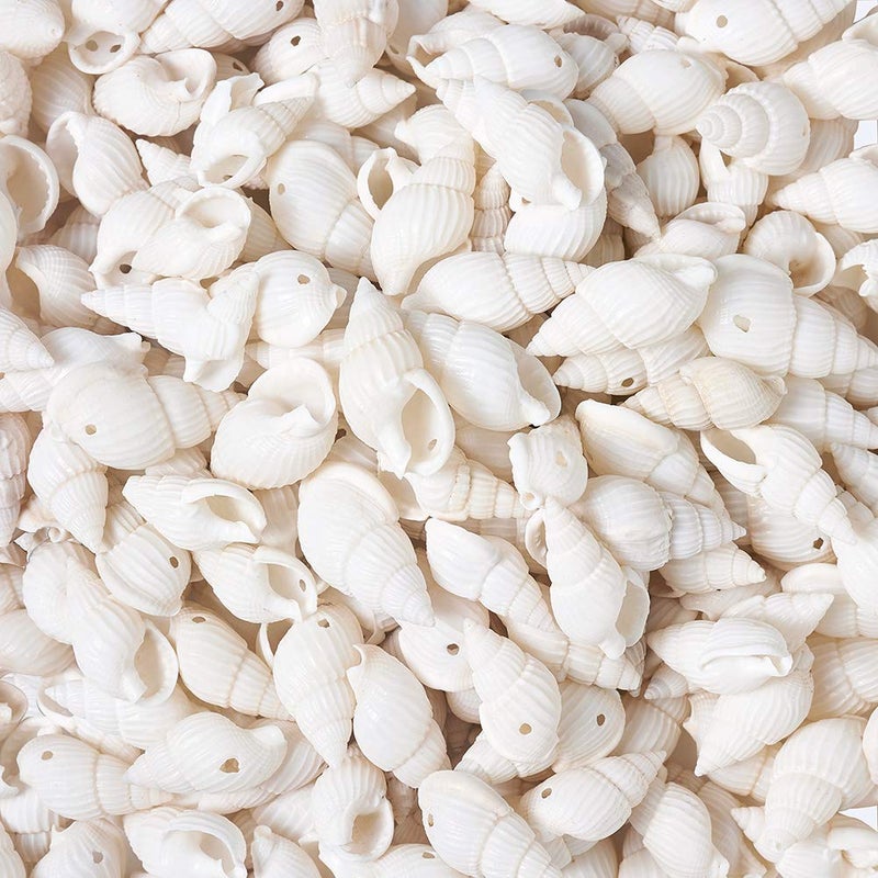 KISSITTY About 300pcs Natural Beach Sea Shell Beads with Holes 1mm Length 16-25mm Trumpet Spiral Seashells for DIY Craft Jewelry Making Wedding Party Home Decor - Image 2